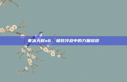 寒冰天赋s6,极致冷寂中的力量绽放