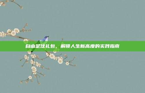 自由足球礼包，解锁人生新高度的实践指南