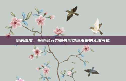 资源国度,探索多元力量共同塑造未来的无限可能