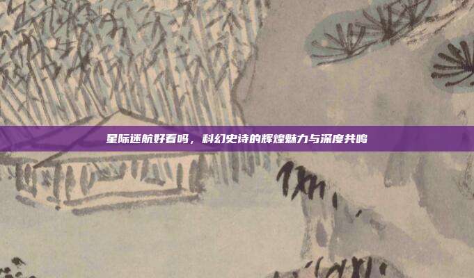 星际迷航好看吗，科幻史诗的辉煌魅力与深度共鸣
