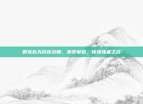 御龙在天历练功勋,步步攀登,铸就强者之名