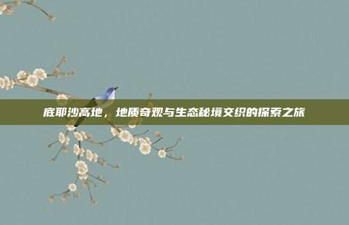 底耶沙高地,地质奇观与生态秘境交织的探索之旅