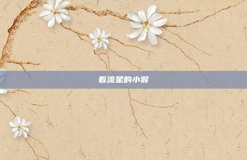 看流星的小猴