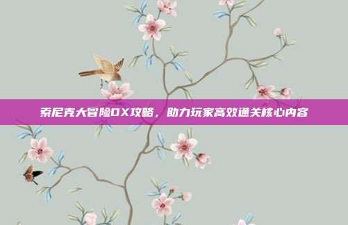 索尼克大冒险DX攻略,助力玩家高效通关核心内容