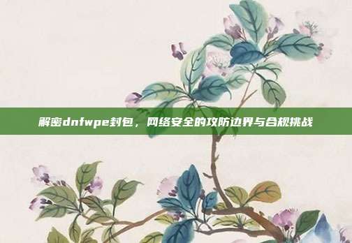 解密dnfwpe封包,网络安全的攻防边界与合规挑战