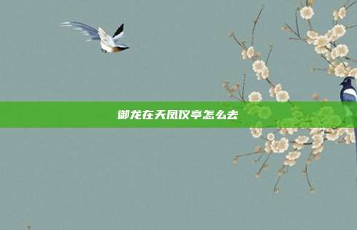 御龙在天凤仪亭怎么去