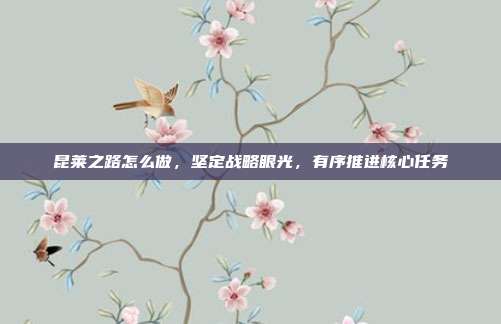 昆莱之路怎么做，坚定战略眼光，有序推进核心任务
