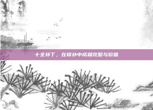 十全补丁,在修补中成就完整与价值
