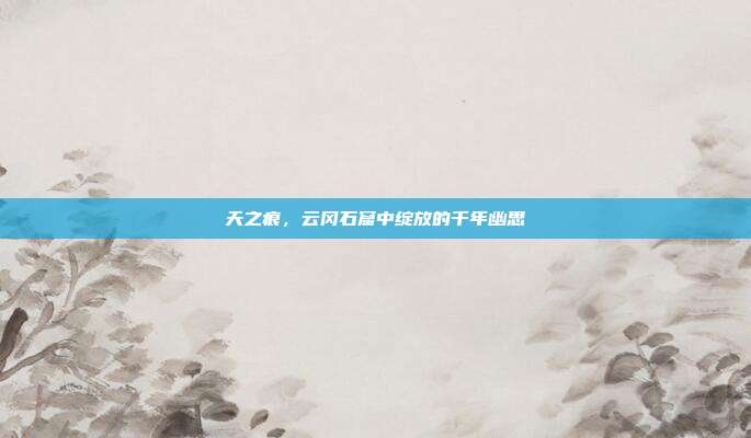 天之痕，云冈石窟中绽放的千年幽思