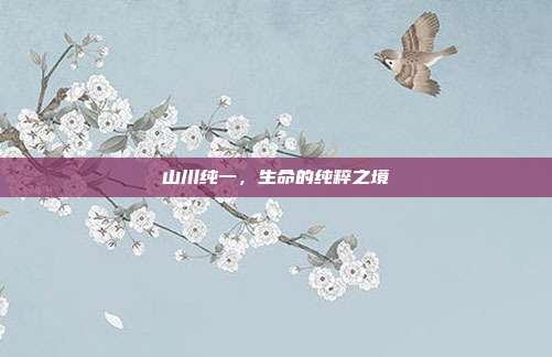 山川纯一，生命的纯粹之境
