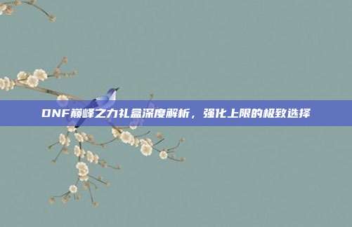 DNF巅峰之力礼盒深度解析,强化上限的极致选择