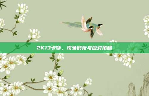 2K13卡顿，现象剖析与应对策略