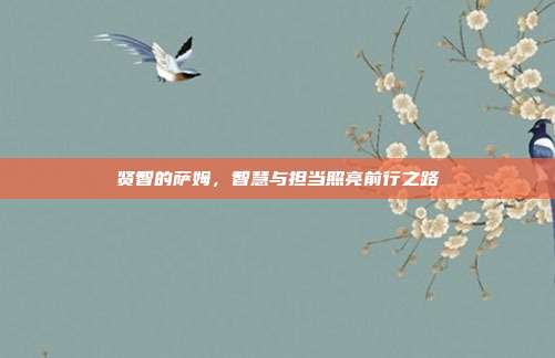 贤智的萨姆，智慧与担当照亮前行之路