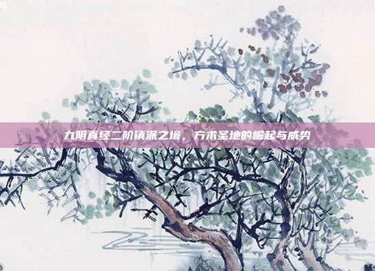 九阴真经二阶镇派之境,方术圣地的崛起与威势