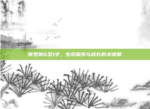 俄罗斯6至1岁，生命探索与成长的关键期