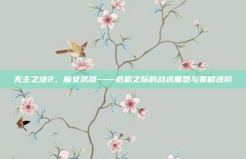 无主之地2，魔女武器——危机之际的战术重塑与策略进阶