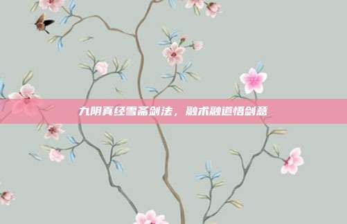 九阴真经雪斋剑法,融术融道悟剑意
