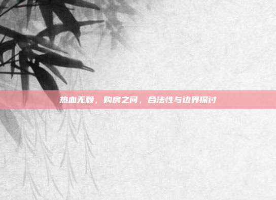 热血无赖，购房之问，合法性与边界探讨