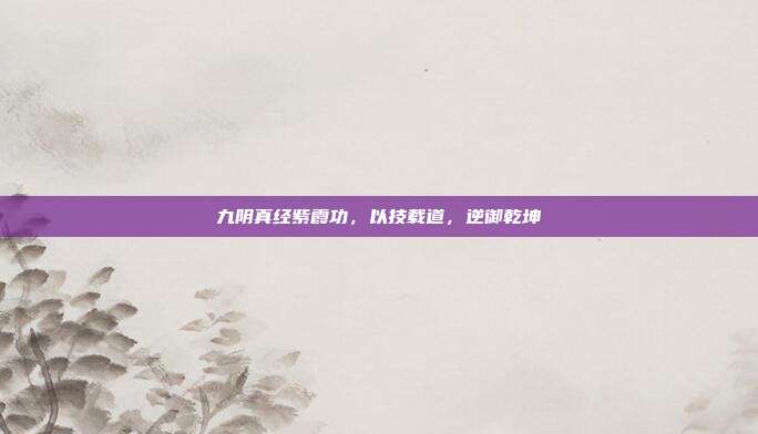 九阴真经紫霞功，以技载道，逆御乾坤