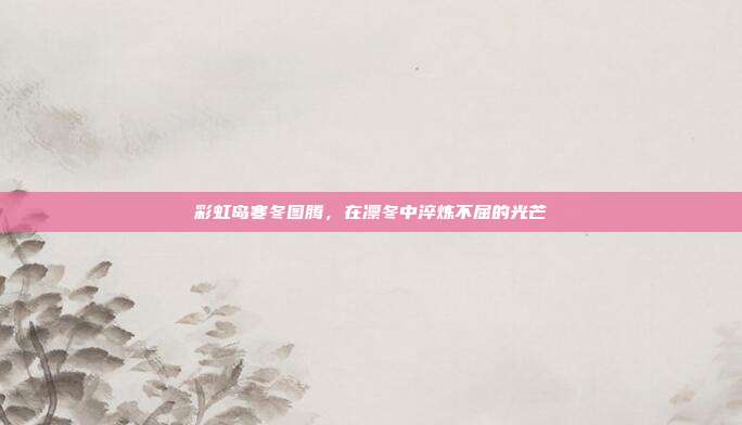 彩虹岛寒冬图腾，在凛冬中淬炼不屈的光芒