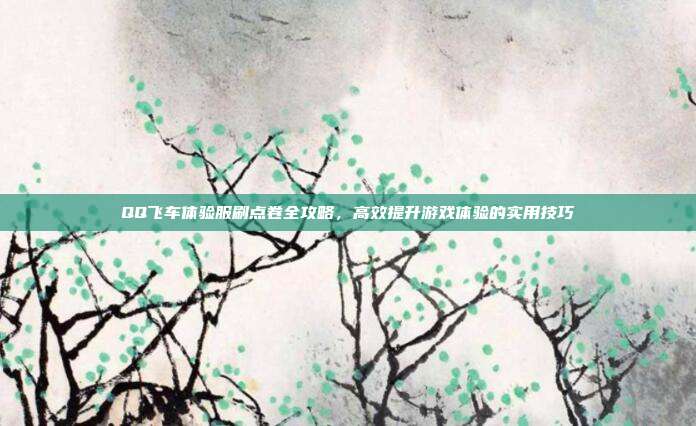 QQ飞车体验服刷点卷全攻略，高效提升游戏体验的实用技巧