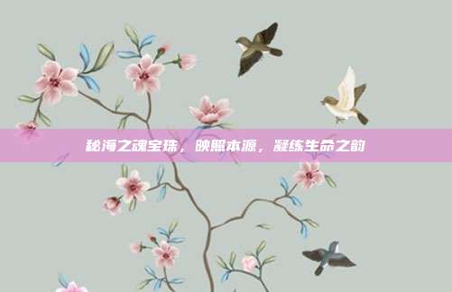 秘海之魂宝珠，映照本源，凝练生命之韵