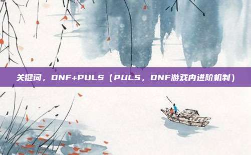 关键词,DNF+PULS(PULS,DNF游戏内进阶机制)