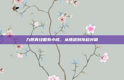 九阴真经略有小成，从悟道到渐趋突破