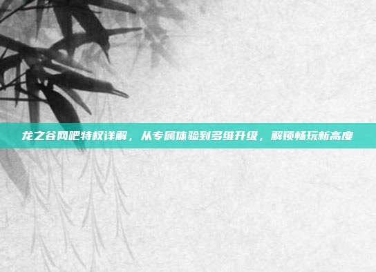 龙之谷网吧特权详解,从专属体验到多维升级,解锁畅玩新高度
