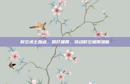 时空术士加点，精打细算，撬动时空极限潜能