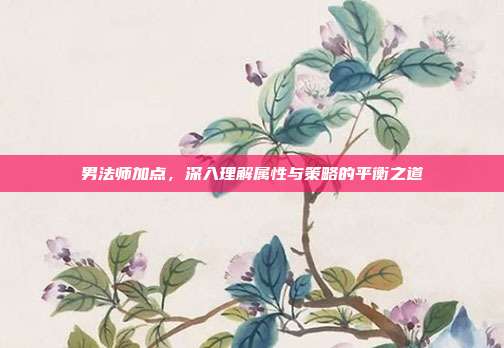 男法师加点，深入理解属性与策略的平衡之道
