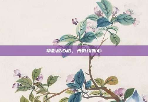 章影凝心路,光影绘初心