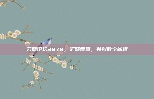云鼎论坛3878，汇聚智慧，共创数字新境