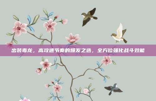 出装毒龙，高攻速节奏的爆发之选，全方位强化战斗效能