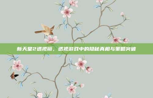 新天堂2透视镜,透视游戏中的隐秘真相与策略突破
