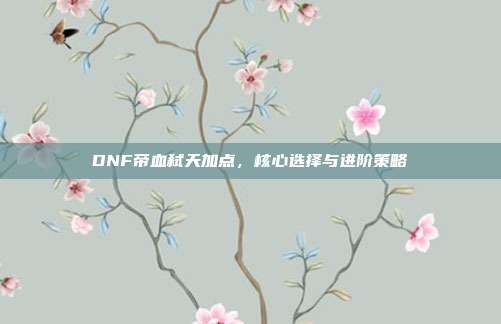 DNF帝血弑天加点,核心选择与进阶策略