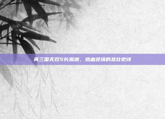 真三国无双5长坂坡，热血逆境的悲壮史诗