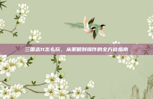三国志11怎么玩，从策略到操作的全方位指南