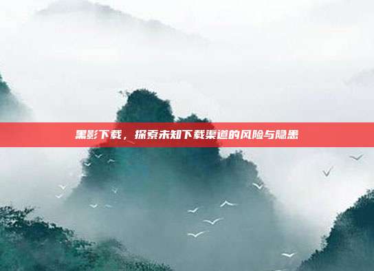 黑影下载,探索未知下载渠道的风险与隐患