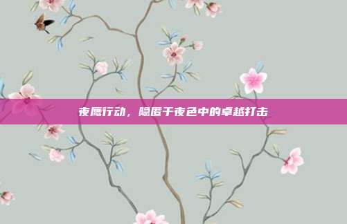 夜鹰行动,隐匿于夜色中的卓越打击
