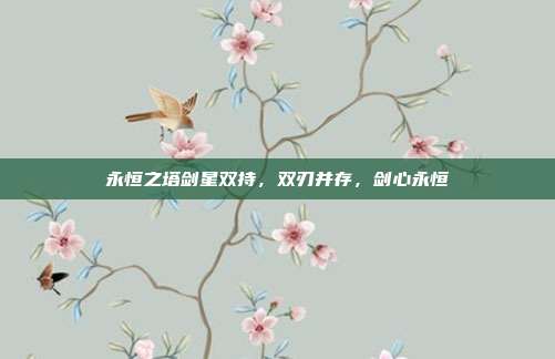 永恒之塔剑星双持，双刃并存，剑心永恒