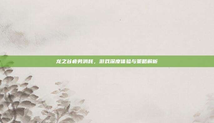 龙之谷疲劳消耗,游戏深度体验与策略解析