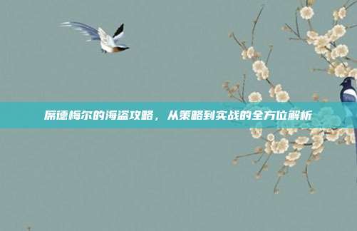 席德梅尔的海盗攻略,从策略到实战的全方位解析