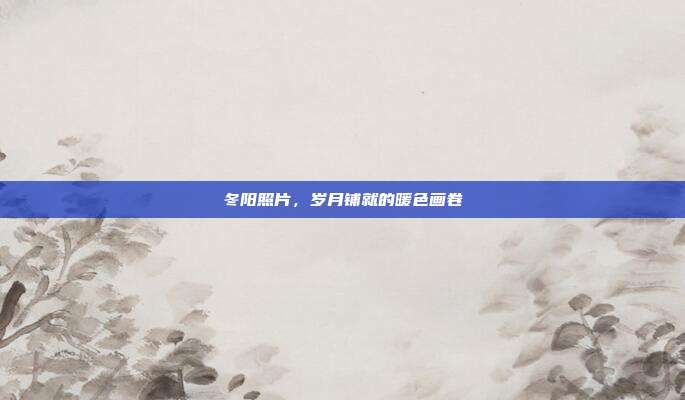 冬阳照片,岁月铺就的暖色画卷