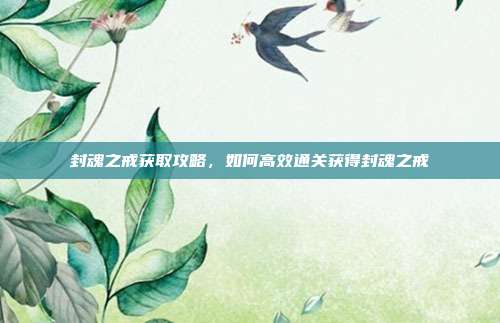 封魂之戒获取攻略,如何高效通关获得封魂之戒