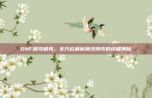 DNF属性相克,全方位解析属性博弈的终极奥秘