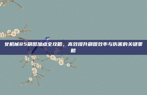 女机械85刷图加点全攻略,高效提升刷图效率与伤害的关键策略