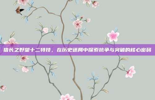 信长之野望十二特技,在历史迷局中探索抗争与突破的核心密码