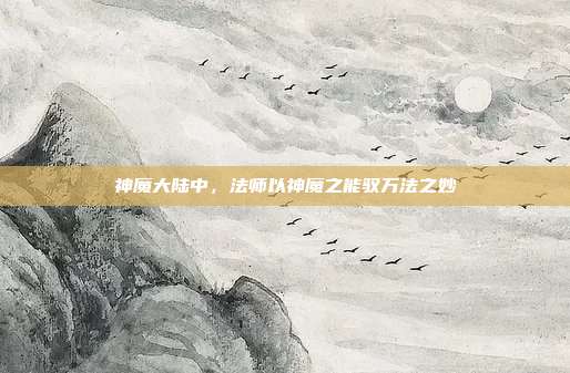 神魔大陆中,法师以神魔之能驭万法之妙