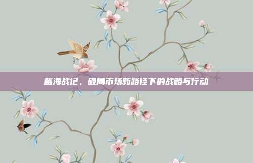 蓝海战记,破局市场新路径下的战略与行动